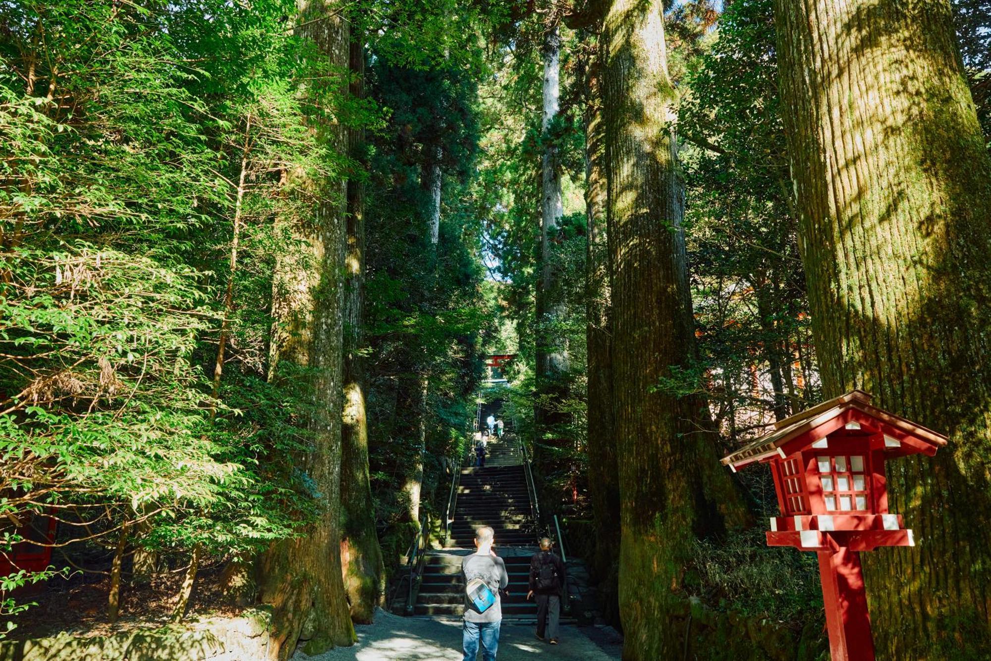 Villa Kabuto 古民家旅館 150平米 バス停迄一分 準天然温泉 最大12名 Hakone